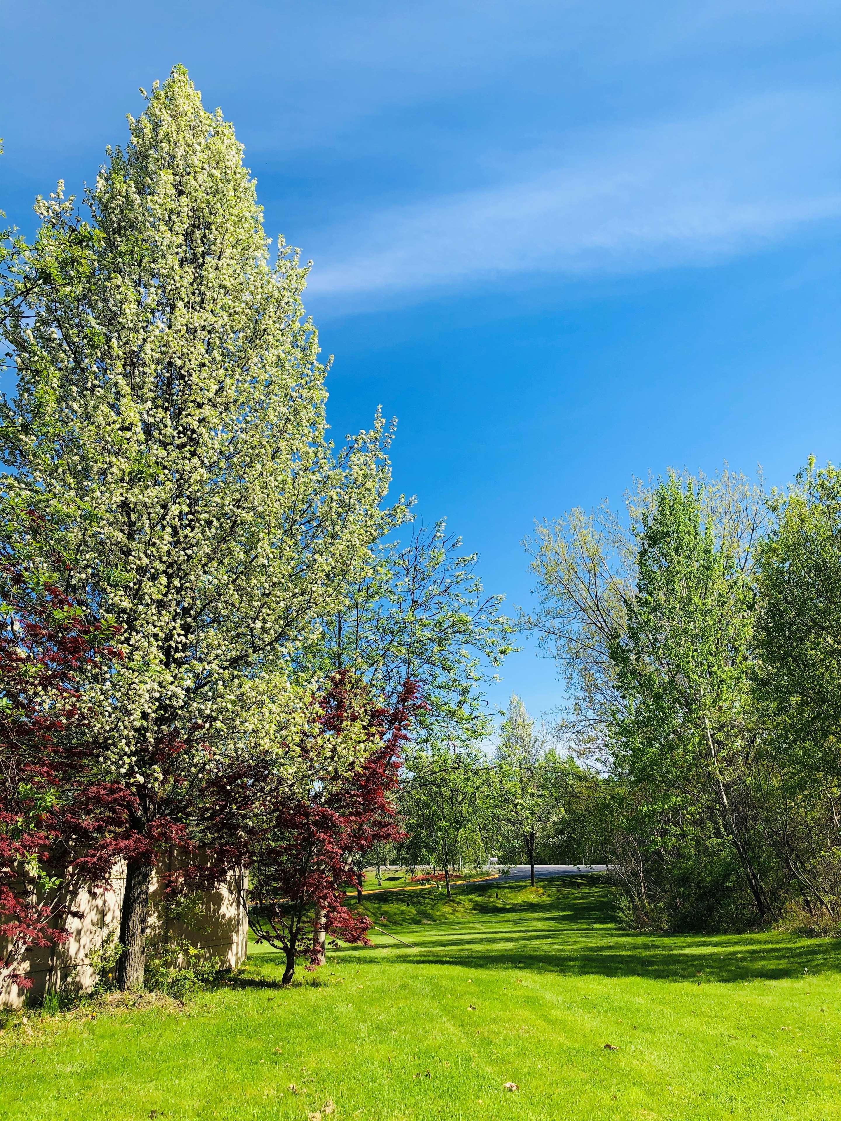 Best Western West Lebanon-Hanover Экстерьер фото